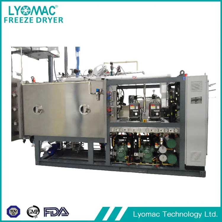 Глобальный авангард лиофилизации: LYOMAC TECHNOLOGY LTD и будущее стерильной обработки
